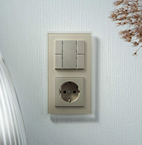 JUNG, A VIVA, Цвет: 